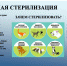 Льготная стерилизация безнадзорных животных - Вейделевский район