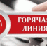 "Горячая линия". - Вейделевский район