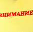 Внимание!. - Вейделевский район