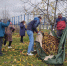 #ОсеннийСубботник - Управление культуры