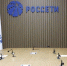 Вячеслав Гладков – об итогах встречи с главой группы «Россети» Андреем Рюминым - Сетевое издание Пламя 31
